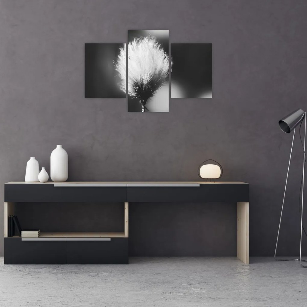 Kép - Fekete-fehér pamutfű (90x60 cm)