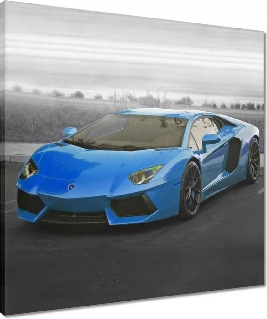 Vászonkép 50x50 Spot autó