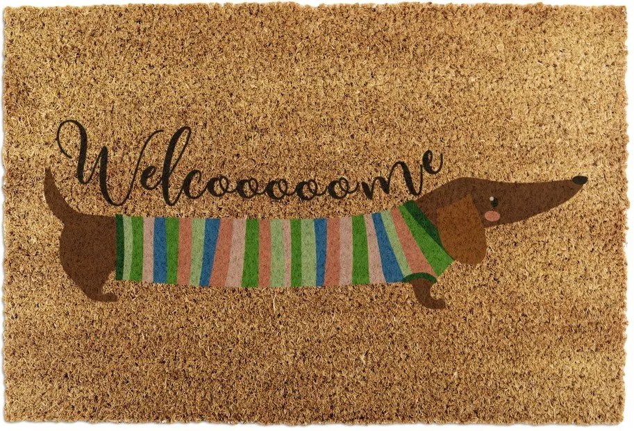 Kókuszrost lábtörlő 40x60 cm Welcome Sausage Dog – Artsy Doormats