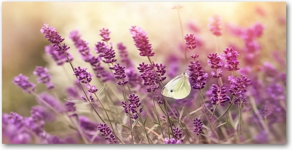 Üvegpanel konyhába Levendula 120x60 cm Ragasztó