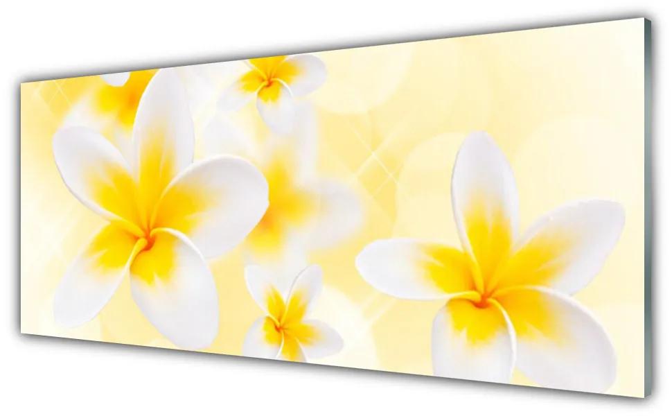 Akril üveg kép Virág növény természet 100x50 cm