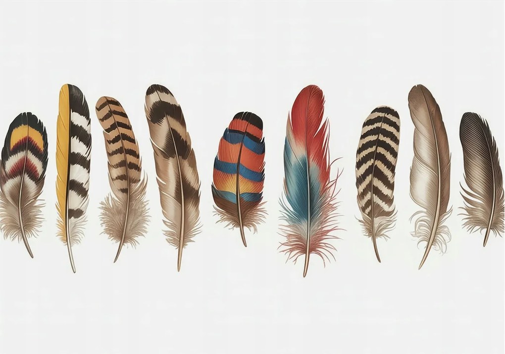 Fotótapéta Dekoratív Fali Tapéta Képek Színes tollak 312x219