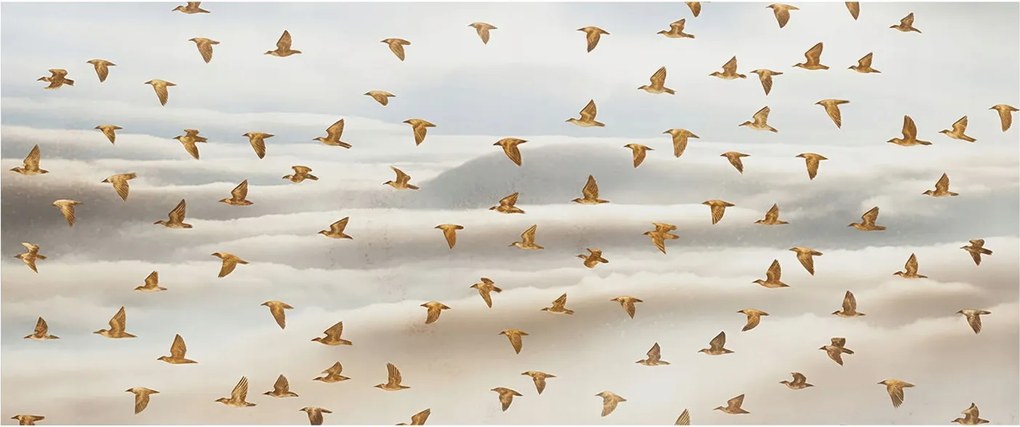 Divatos Flizelin Tapéta Ragasztóval Fali 3D Madarak Repülés 250x104 Ragasztó