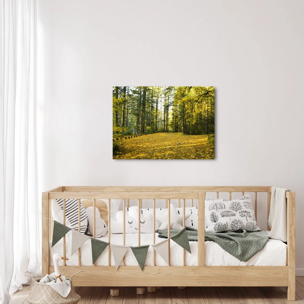 Kép - erdő ősszel (70x50 cm)