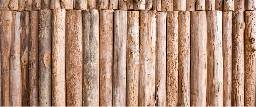 Kép - Bambusz (120x50 cm)