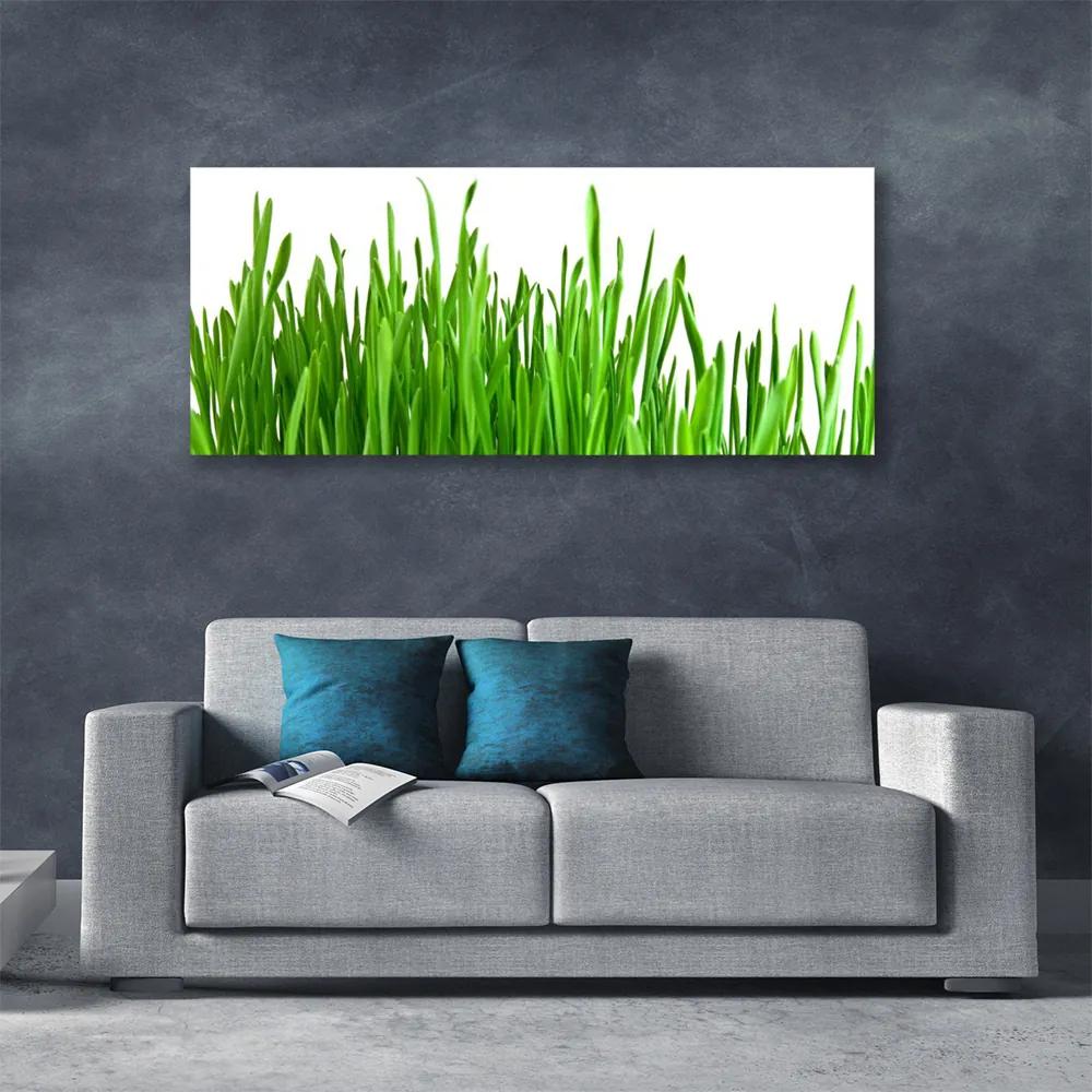 Vászonkép falra Grass Nature Plant 140x70 cm