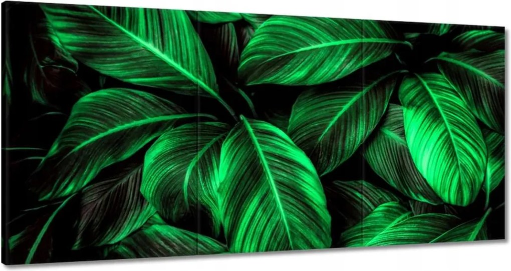 Vászonkép 60x30 Zöld levelek