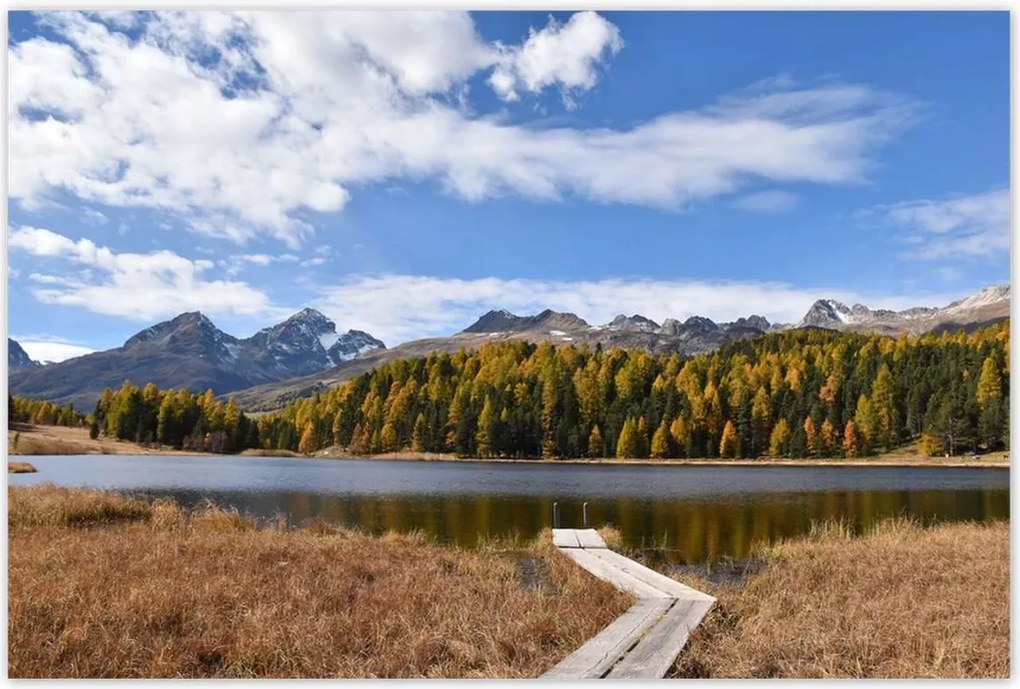 Poszterek 120x80 Tájkép Fa híd