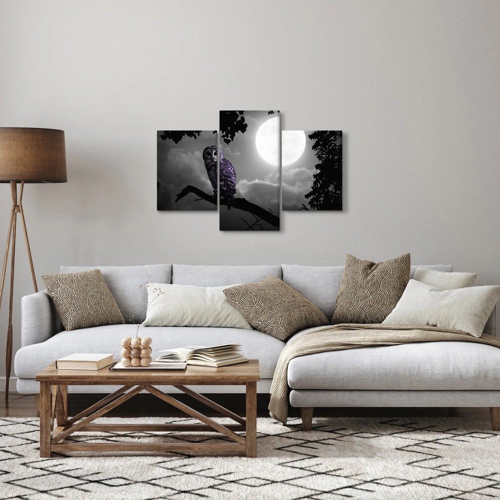Kép - Éjjeli bagoly, lila bagoly (90x60 cm)