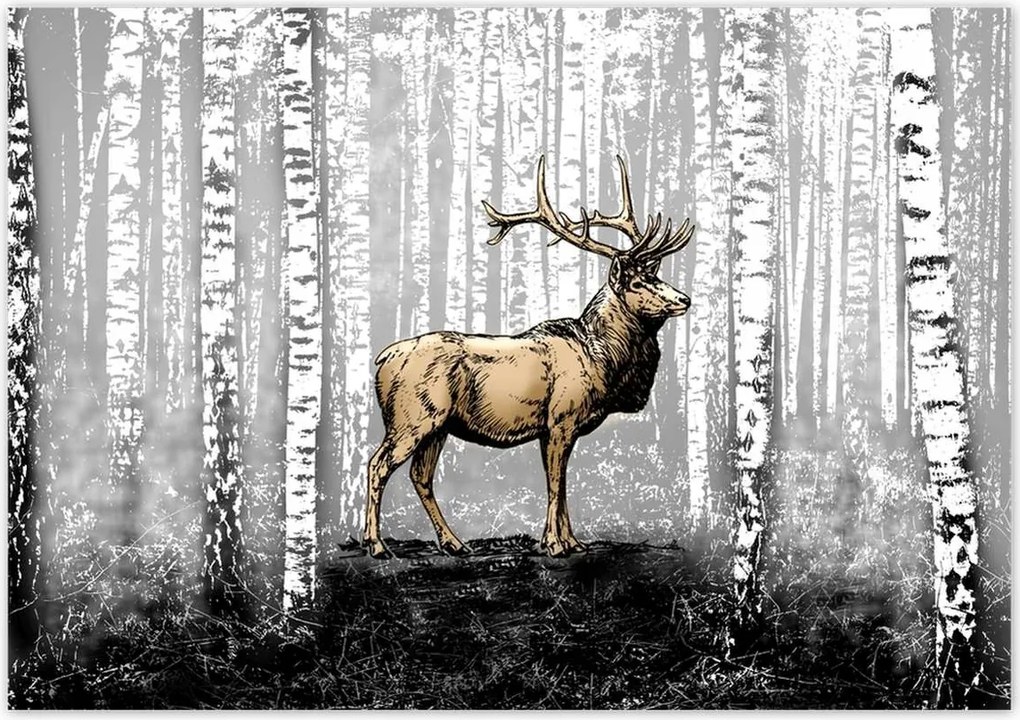 Poszterek 100x70 Szarvas Nyírfa Erdő