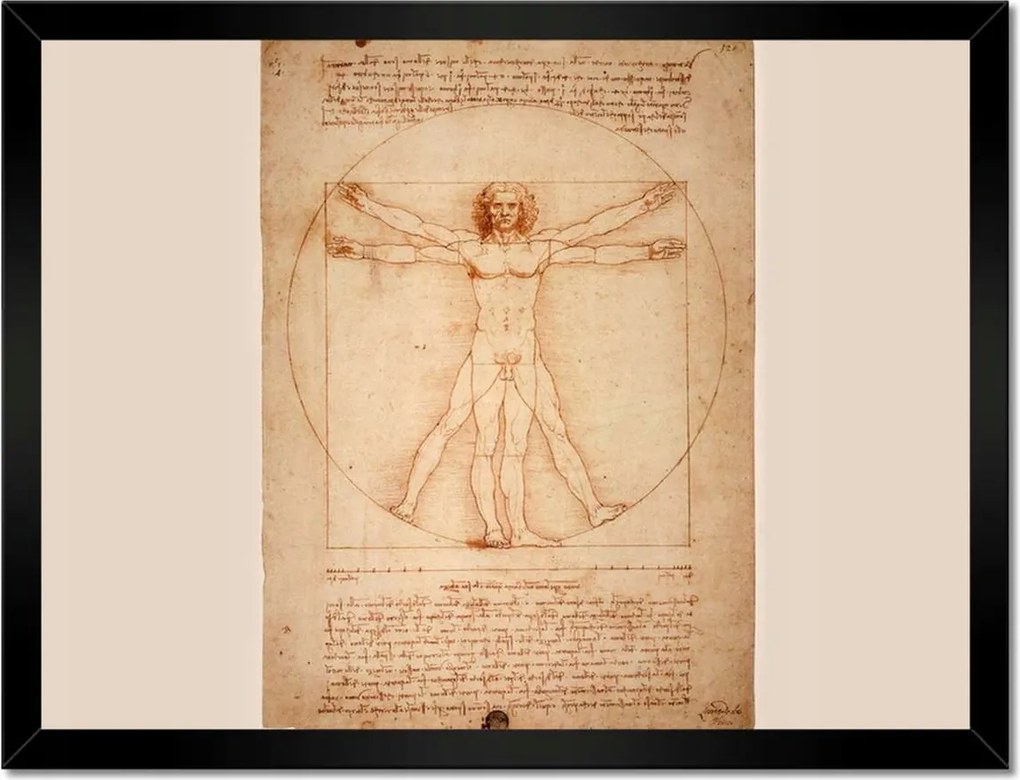 Poszterek keretben 40x30 Vitruvius ember