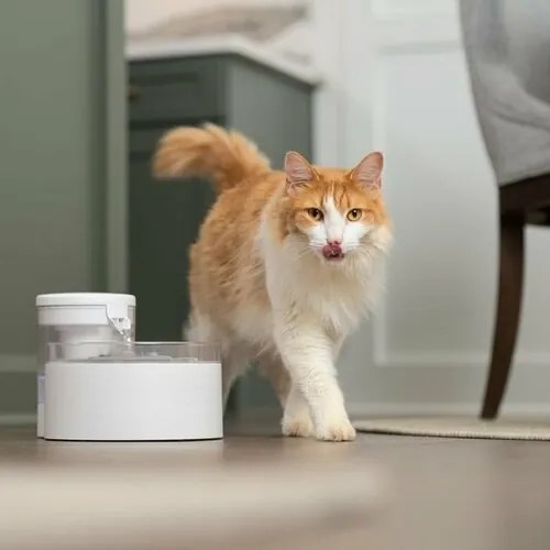 PetSafe® Outlast™ 1,7 literes szökőkút