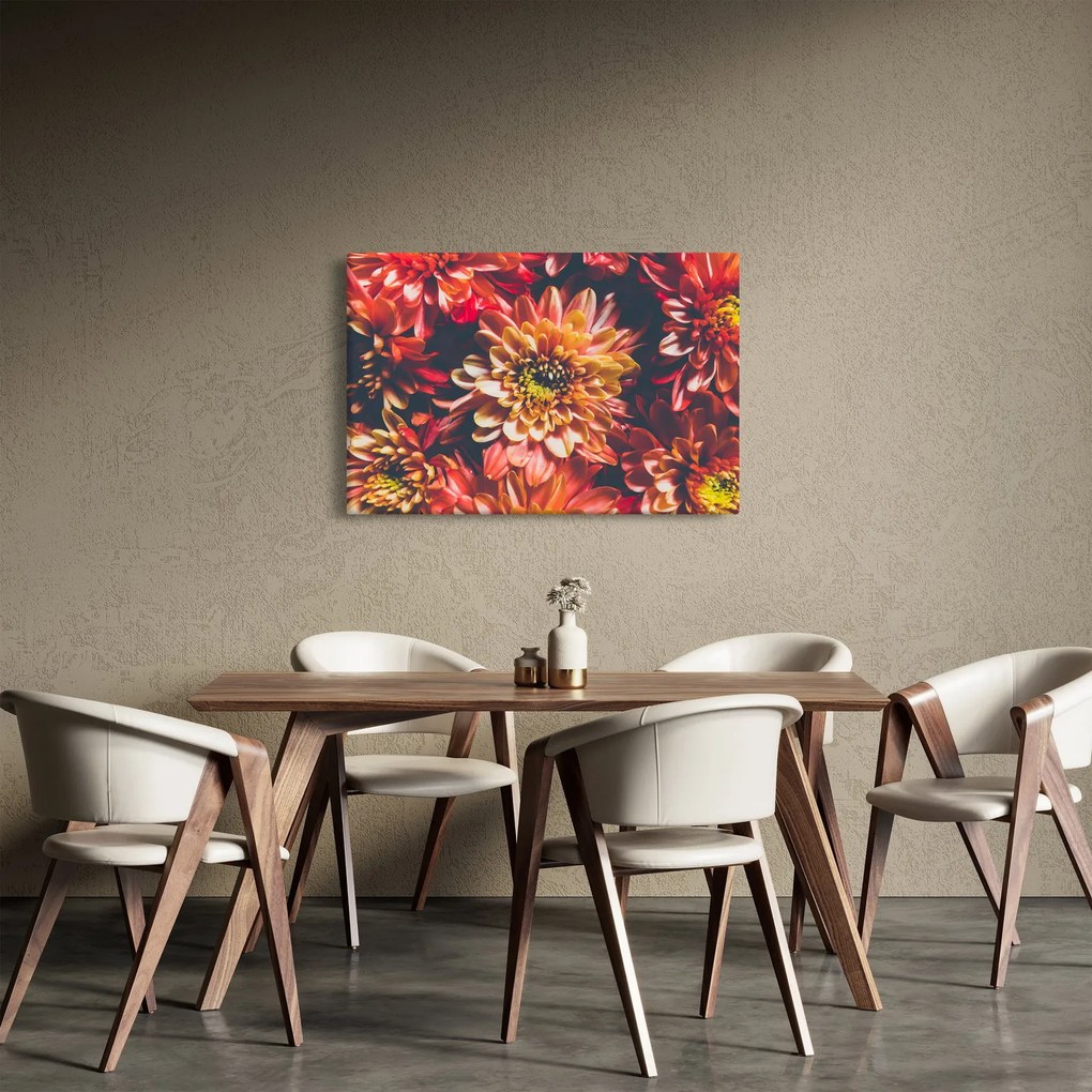 Kép - Krizantém (90x60 cm)
