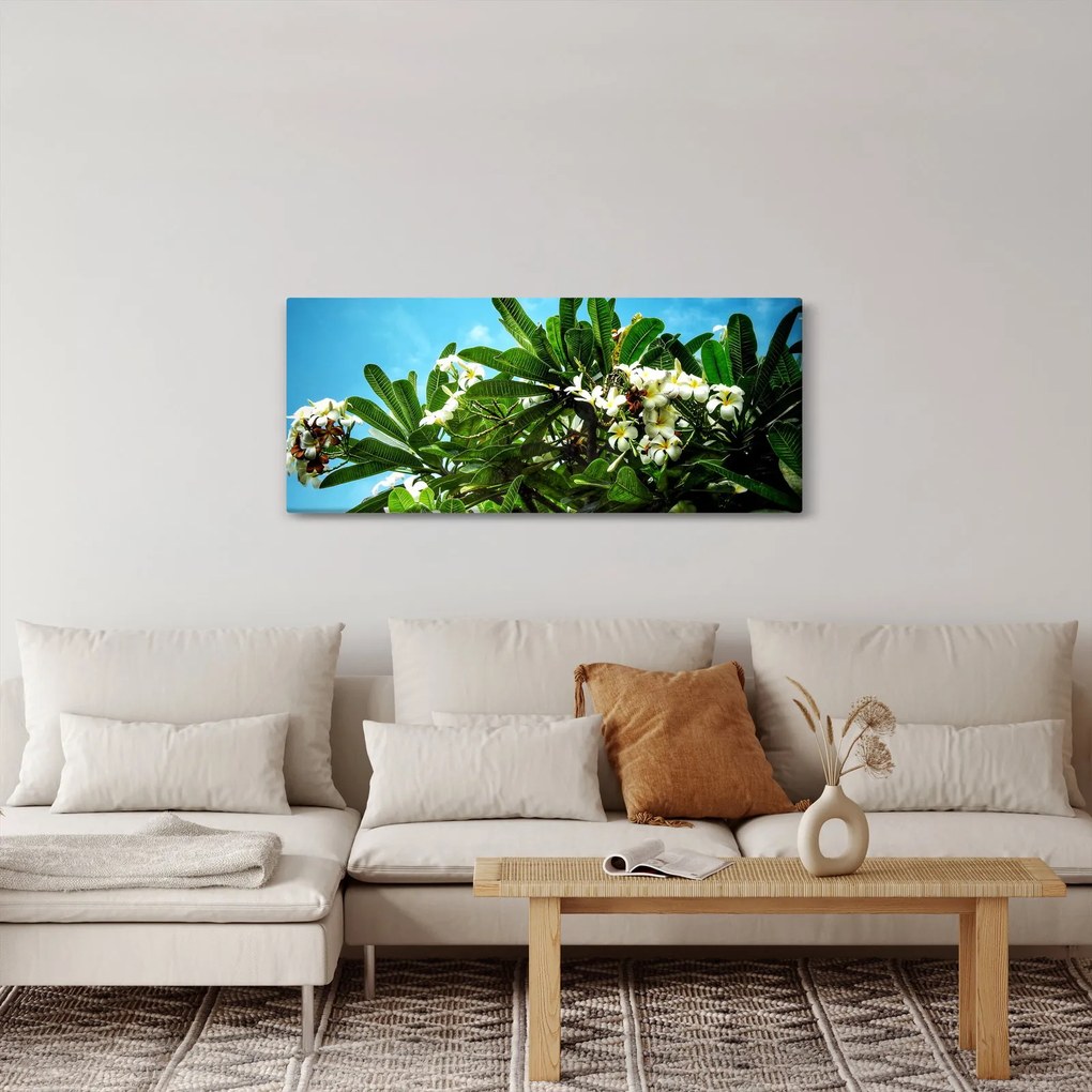 Kép - Plumeria (120x50 cm)