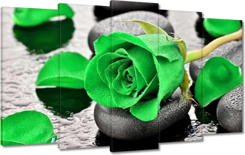 Vászonkép 100x60 Zöld rózsa kövek
