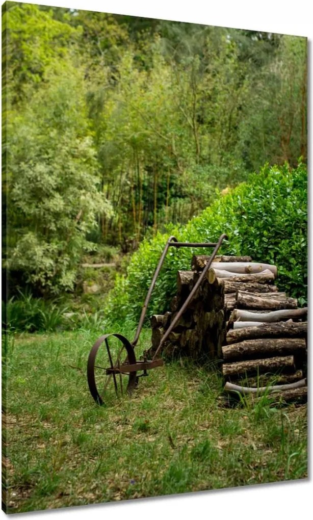 Vászonkép 70x100 Tájkép Látvány