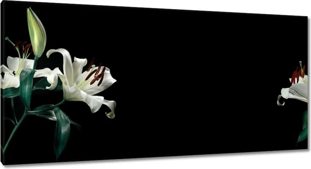 Vászonkép 115x55 Gyönyörű fehér liliom