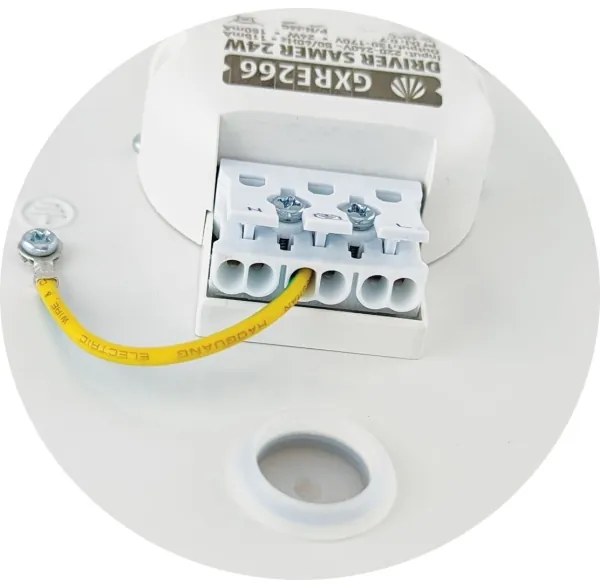 LED Mennyezeti lámpa SAMER LED/24W/230V 4000K