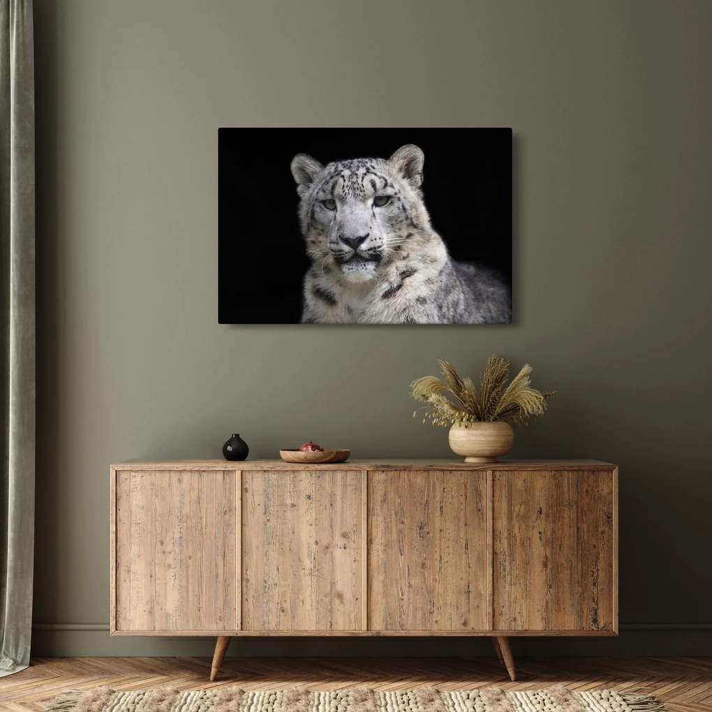 Kép - Snow Leopard (90x60 cm)