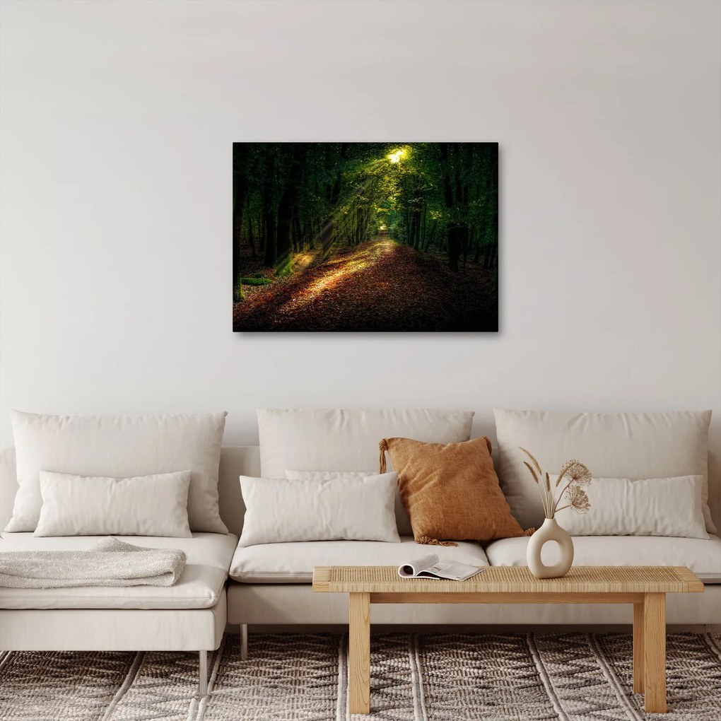 Erdei út képe (70x50 cm)