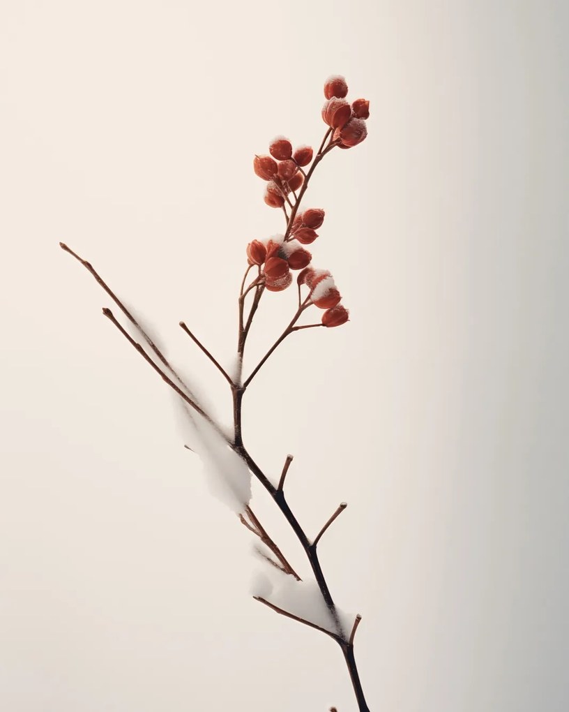 Poszter 40x50cm A tél finom ereje