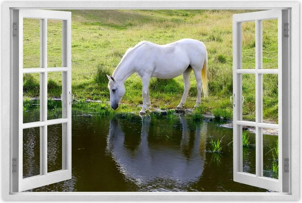 Poszterek 90x60 Fehér ló