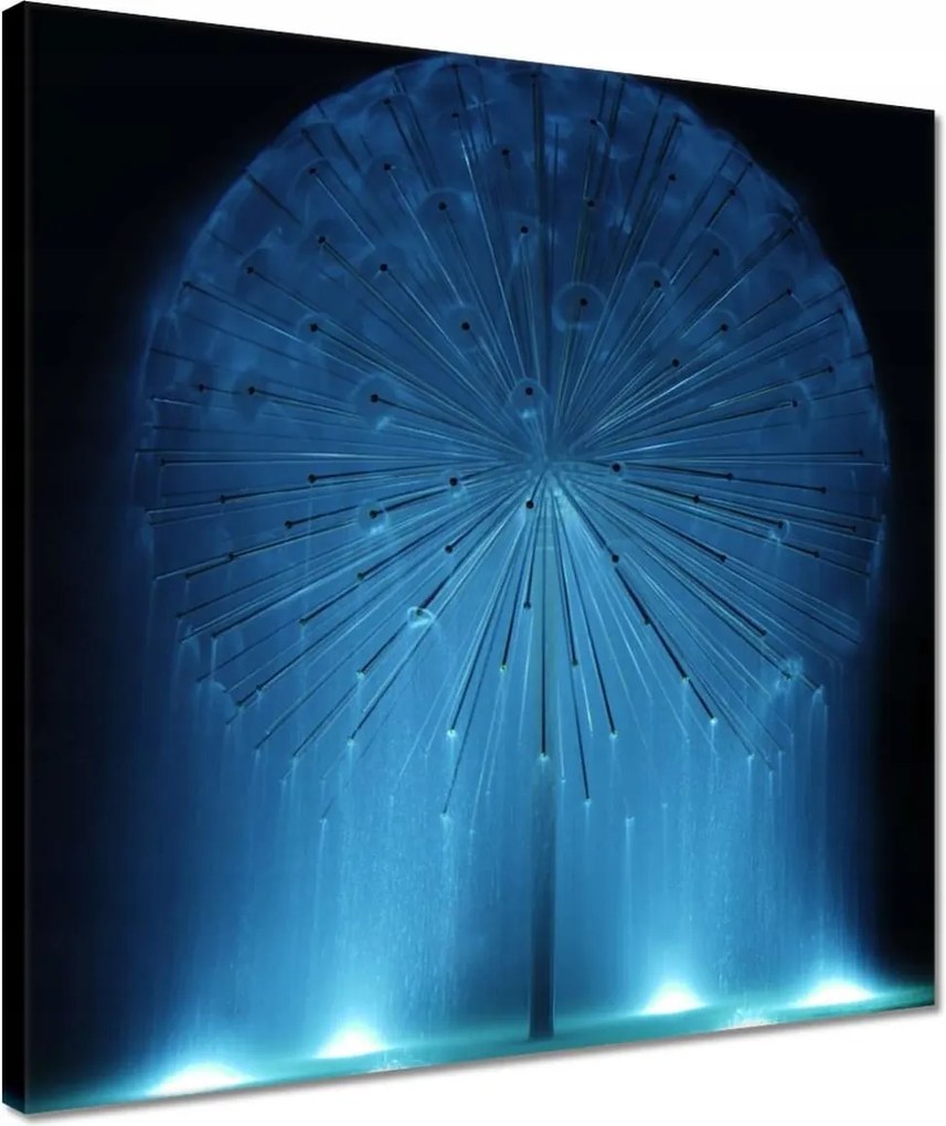 Vászonkép 40x40 Pitypang Virág Virágok