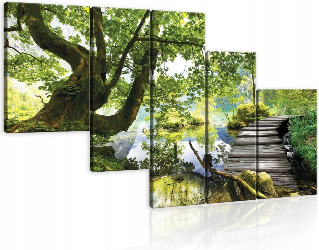 Vászonkép 170x100 Természet erdő tó folyó nyugalom nyár tájkép