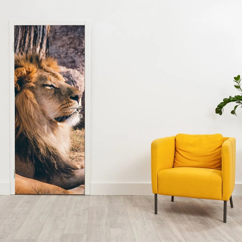 Fotótapéta ajtóra - Fekvő oroszlán (95x205cm)