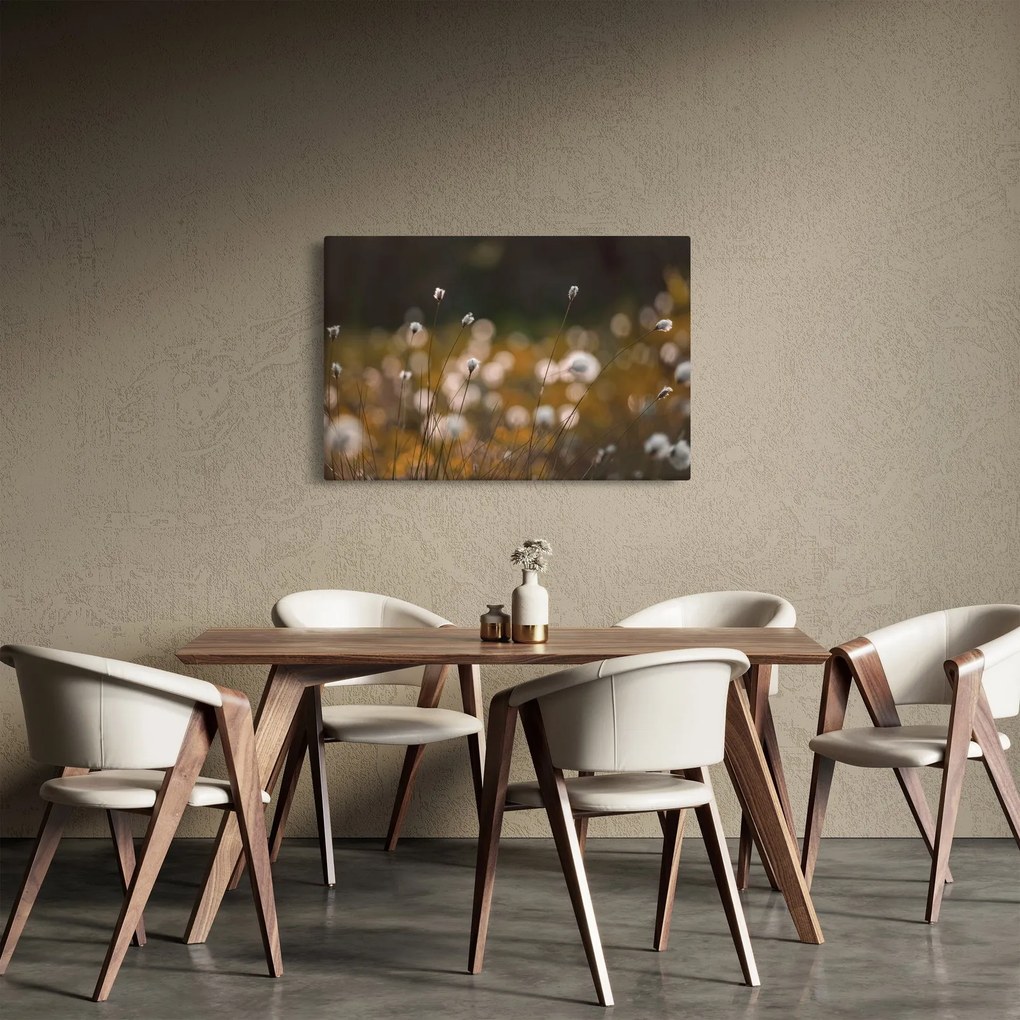 Kép - Gyapotfűvel borított rét N⁰2 (90x60 cm)