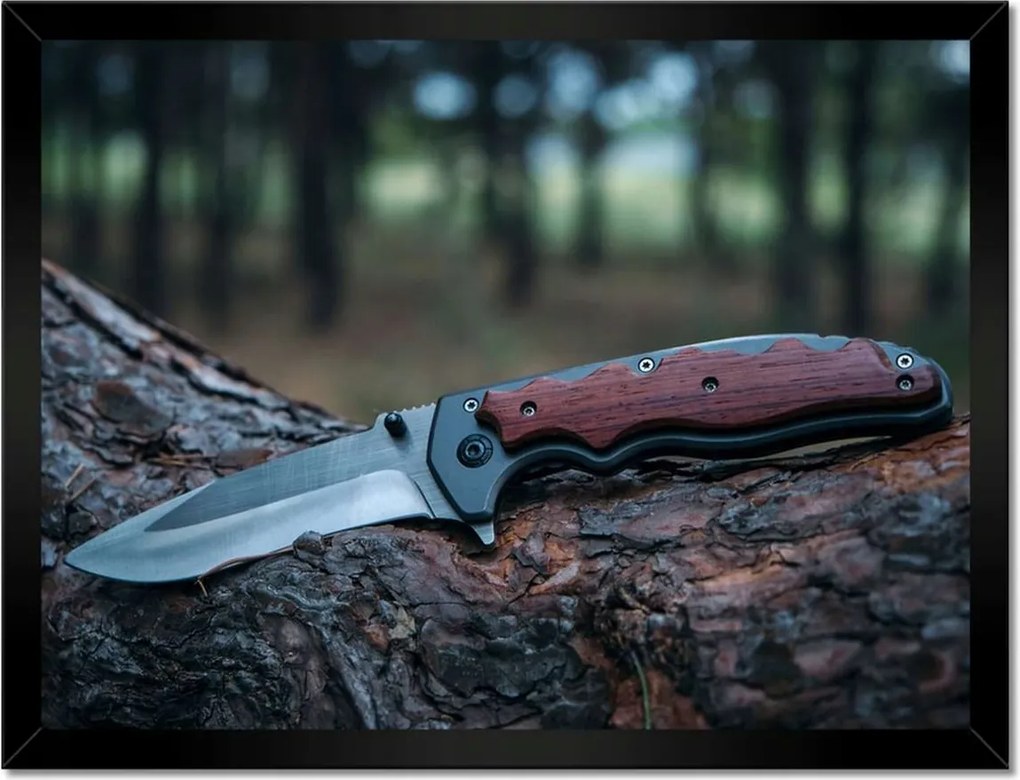 Poszterek keretben 40x30 Fatörzsön fekvő kés