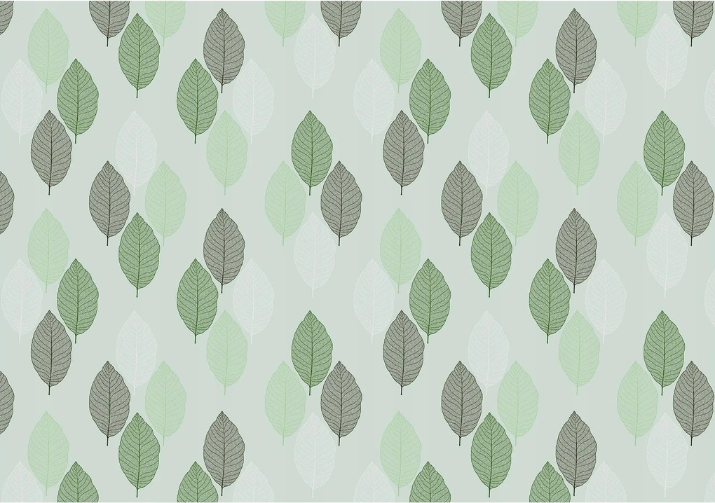 Fotótapéta színes levelek fotótapéta 254 x 184