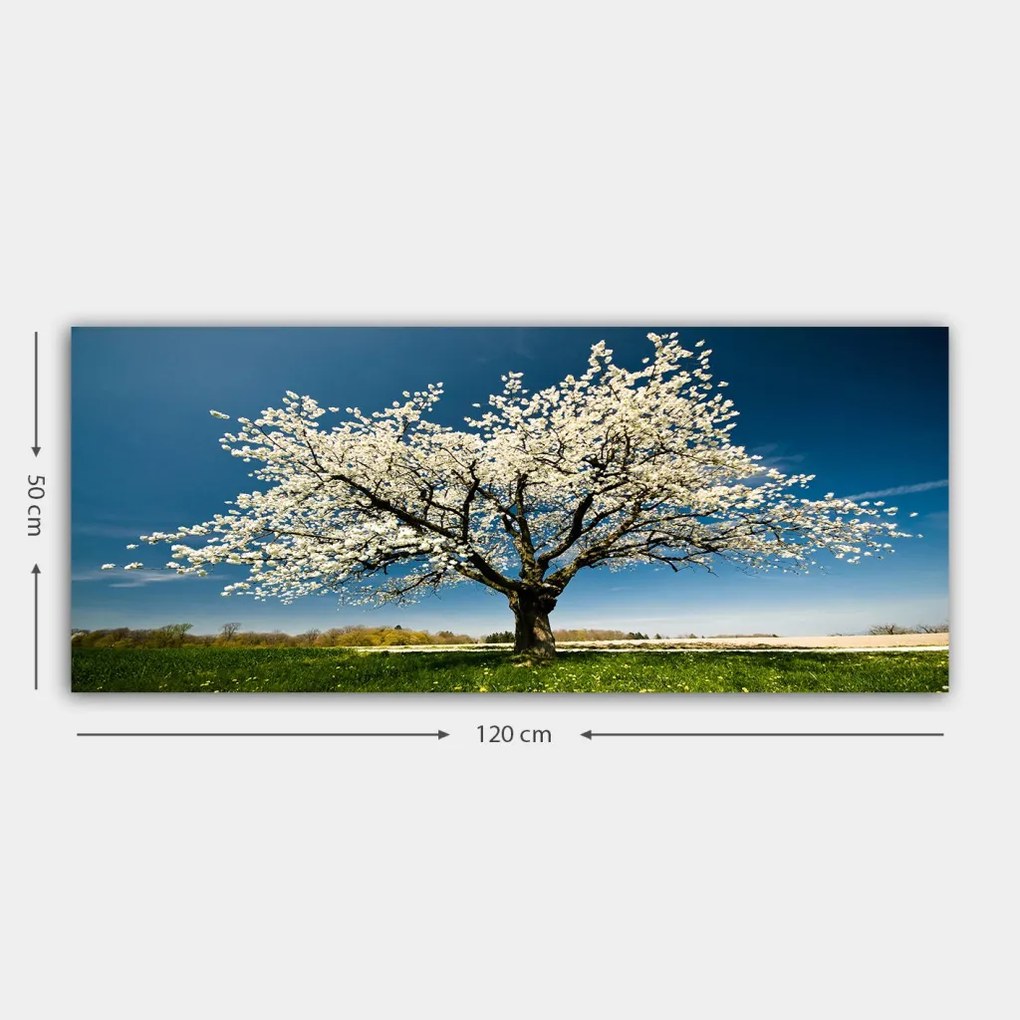 Vászonkép, 50×120 cm – TR451ERN1232