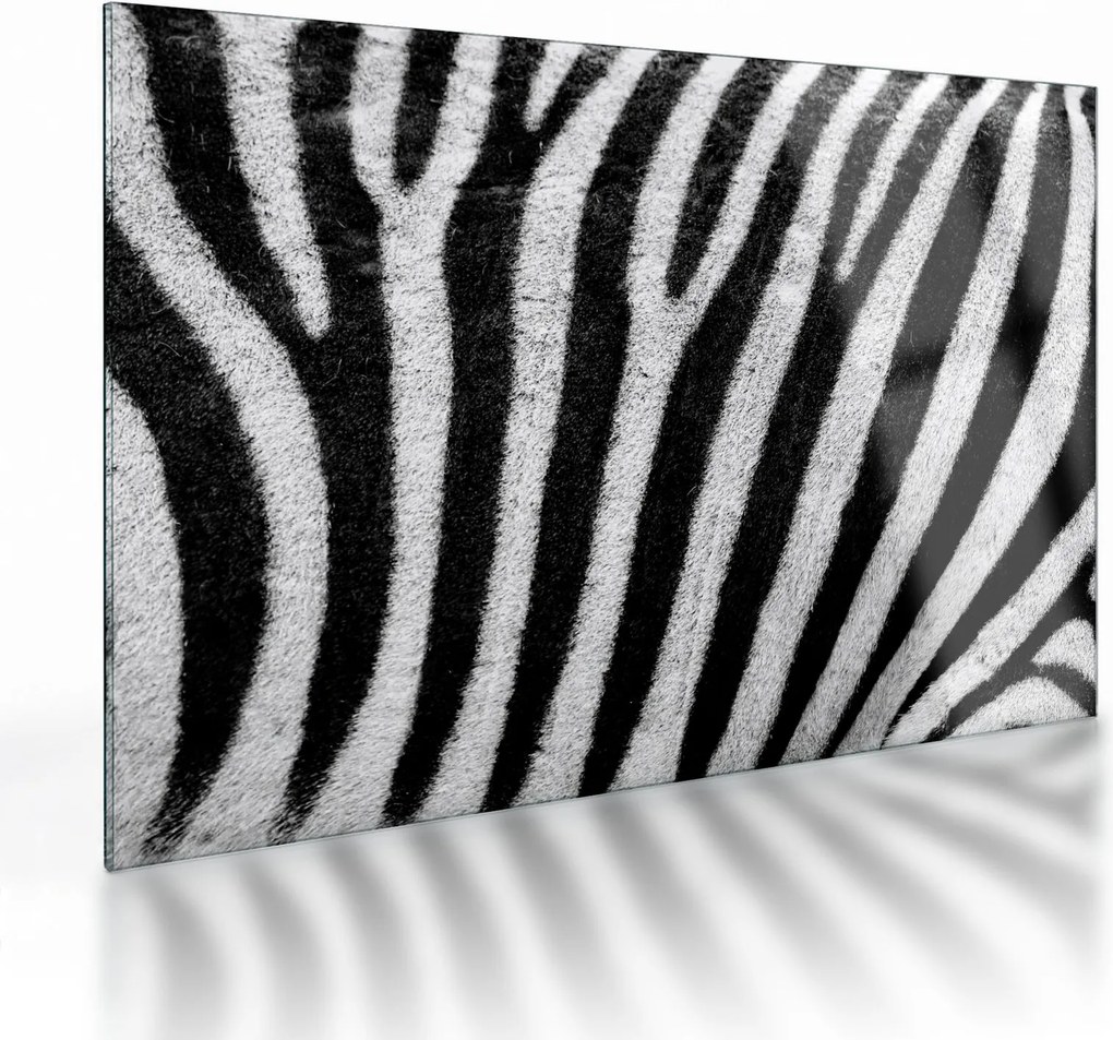Kép egy zebra bőrről (üvegen) (70x50 cm)