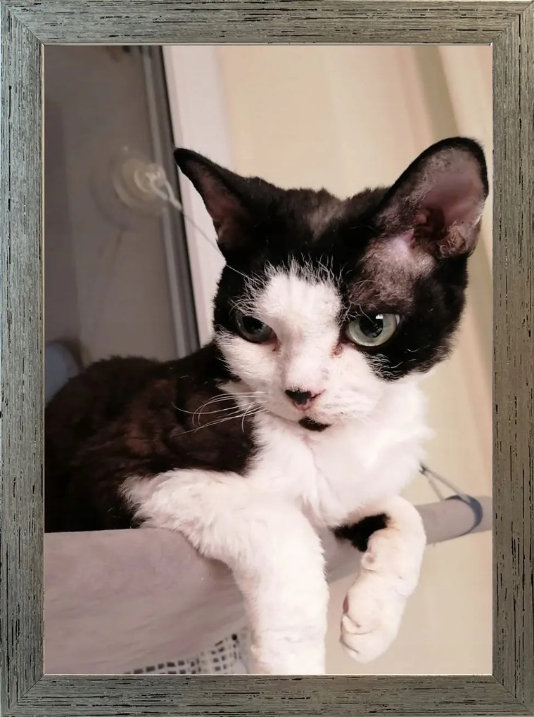 Klasszikus képkeret falra és asztalra, 15x21 cm, fa