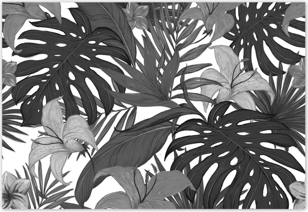 Fotótapéta 152x104 Fekete-fehér monstera