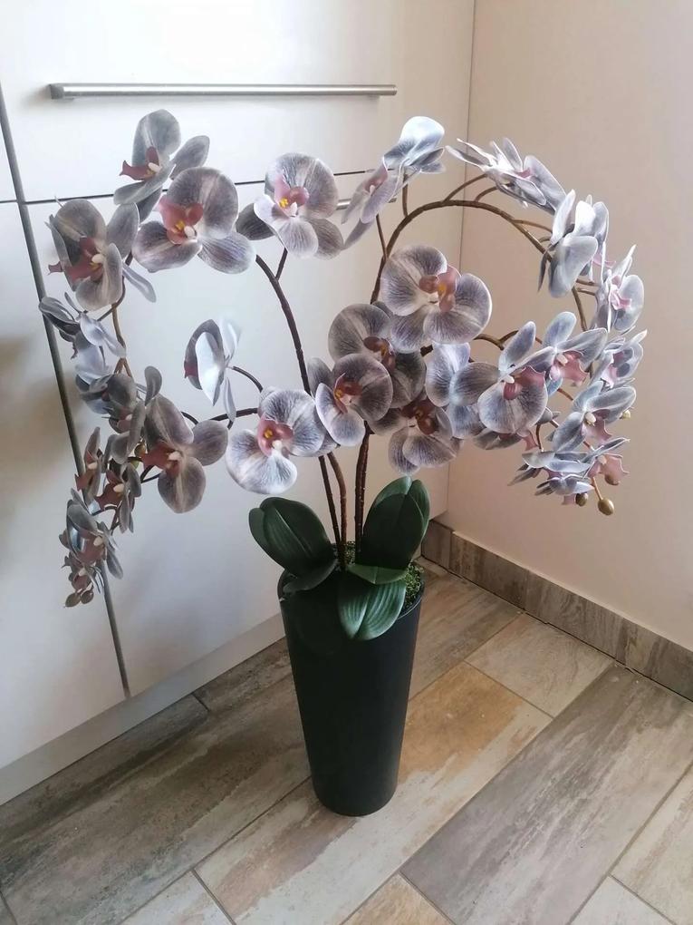 Antracit kaspó 4 virágos szürke orchideával.
