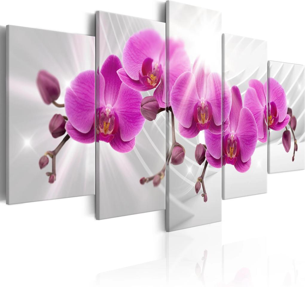 Kép - Abstract Garden: Pink Orchids