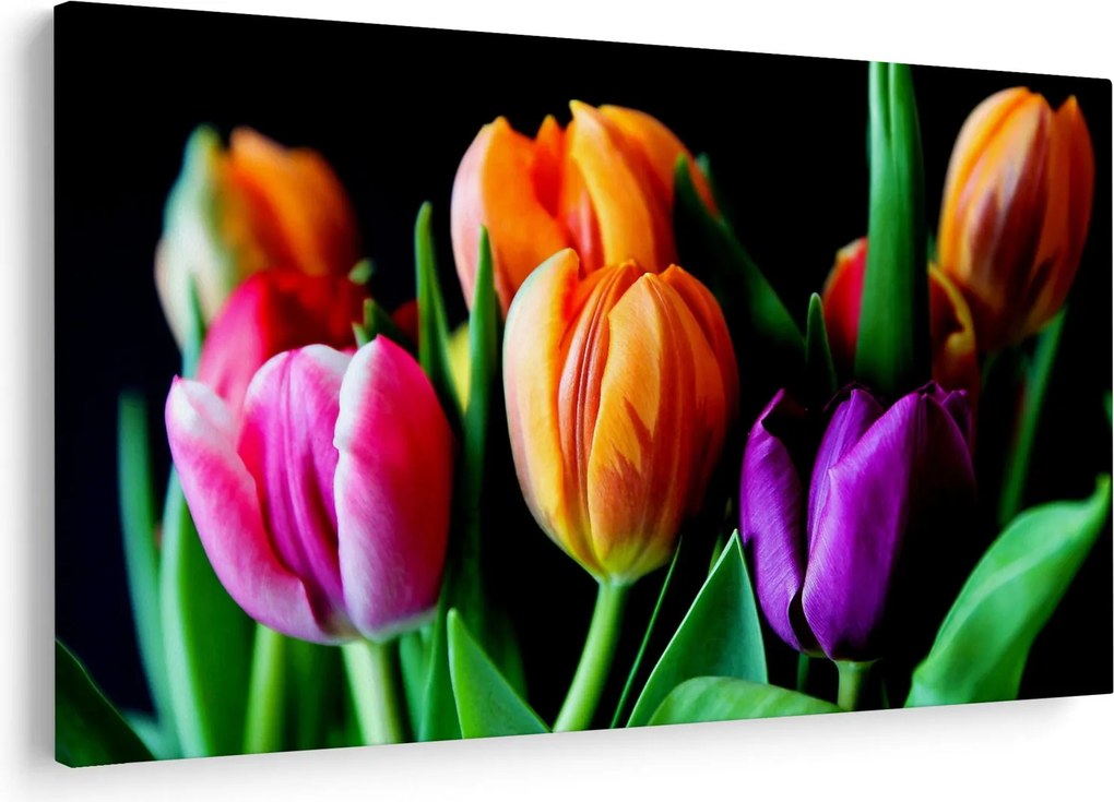 Tulipánok képe fekete alapon (90x60 cm)