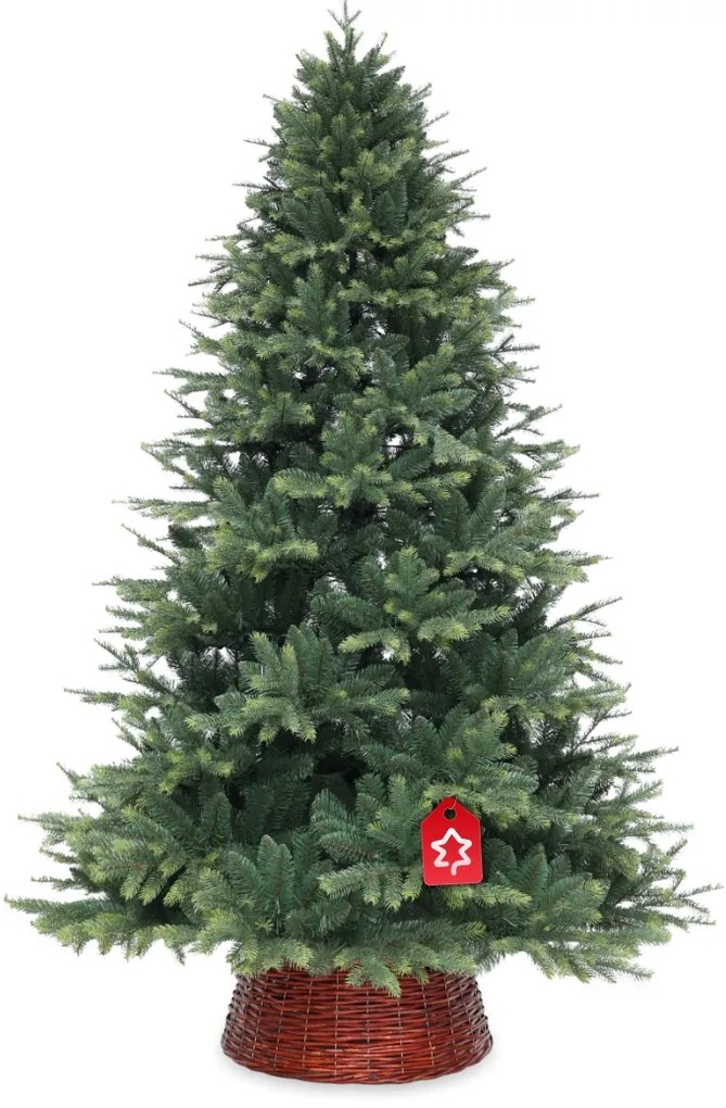 Himalájai lucfenyő 180 cm