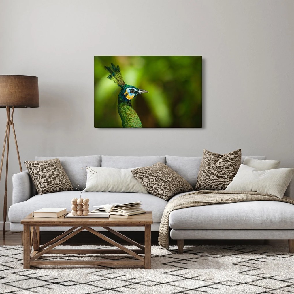Páva képe (90x60 cm)