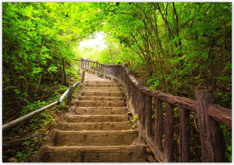 Fotótapéta flizelina 416x290 Lépcsők az erdőbe