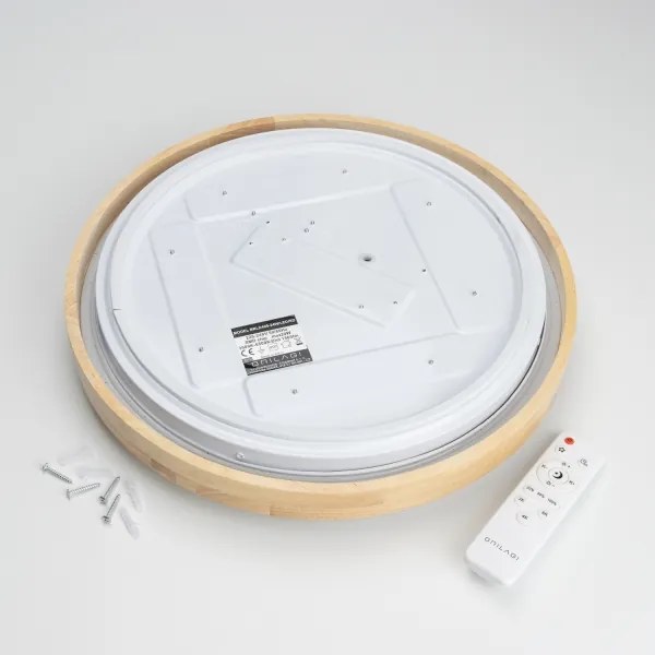 Brilagi - dimmelhető LED mennyezeti lámpatest PINE LED/24W/230V + távirányító