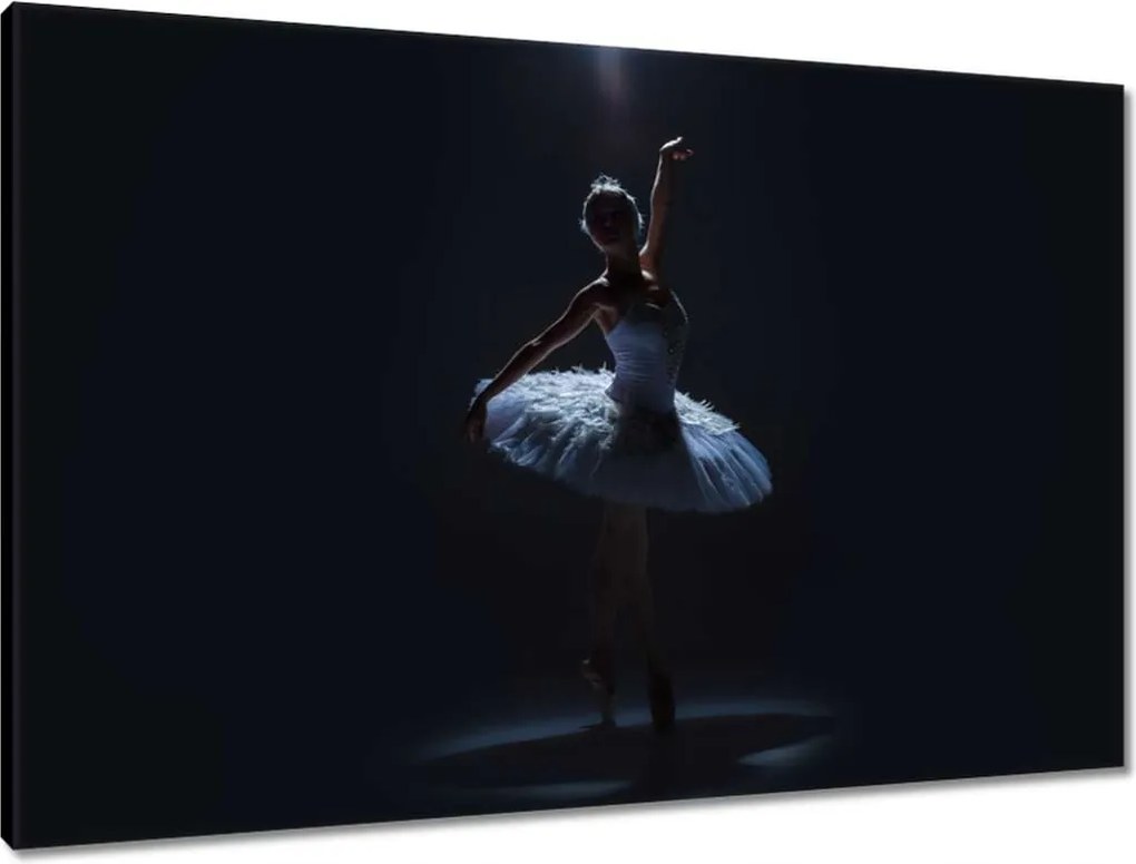 Vászonkép 90x60 Balerina sziluett