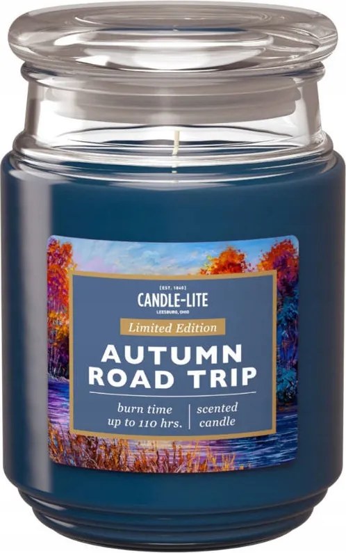 Gyógynövényes Viaszos Aromagyertya 510g