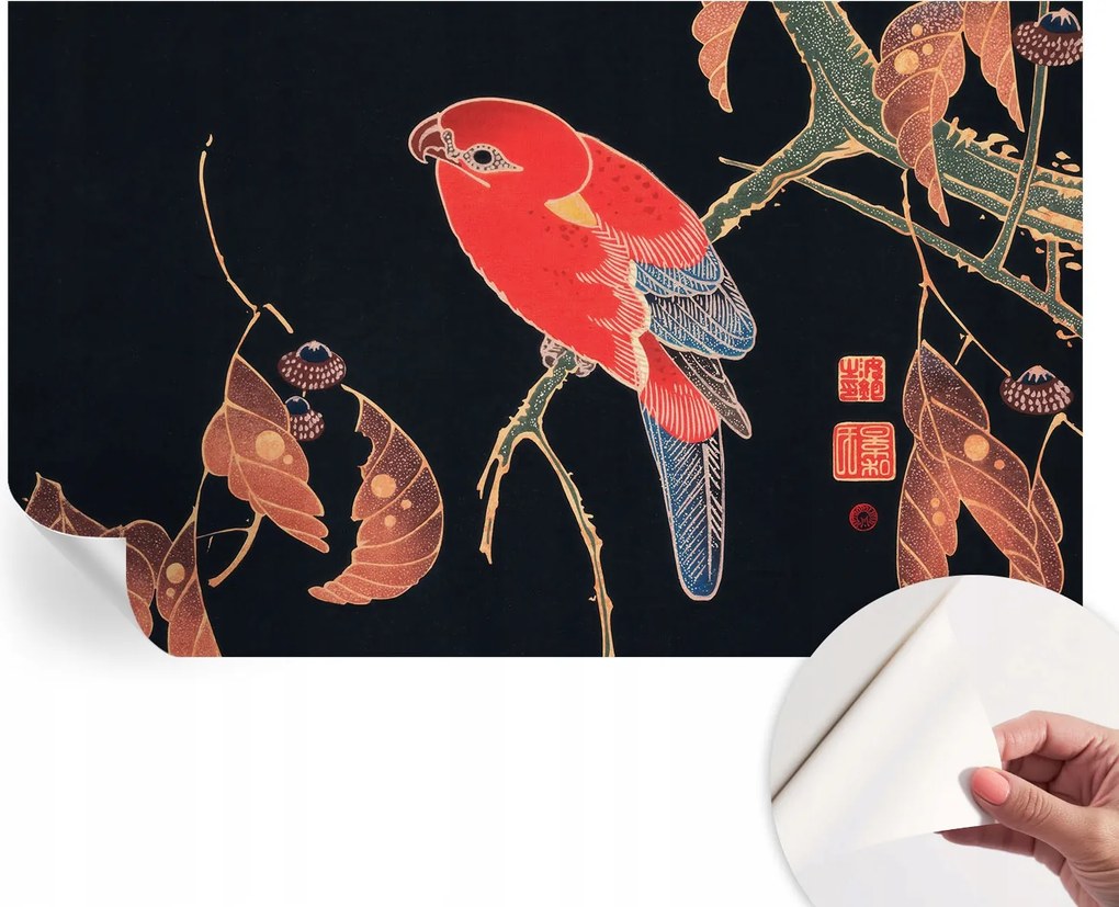 Öntapadós tapéta Fali furnér 3D hatás Egzotikus madár 416x254 cm