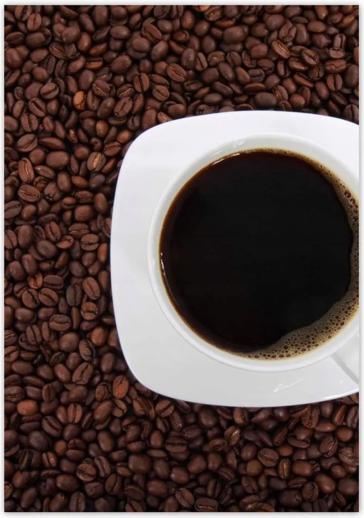 Poszterek 70x100 Csésze az erősítéshez