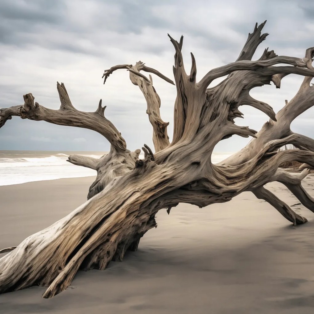 Poszter 60x60cm Örökkévalóság Elvarázsolt a fában