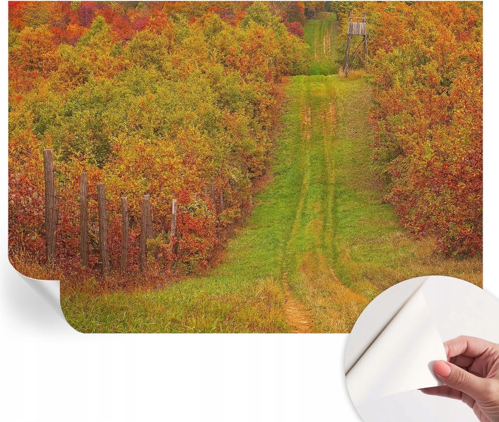 Modern öntapadós fotótapéta Mosható Őszi színek 208x146 cm