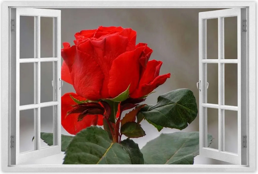 Poszterek 90x60 Rózsa Virág Virágok Rózsa